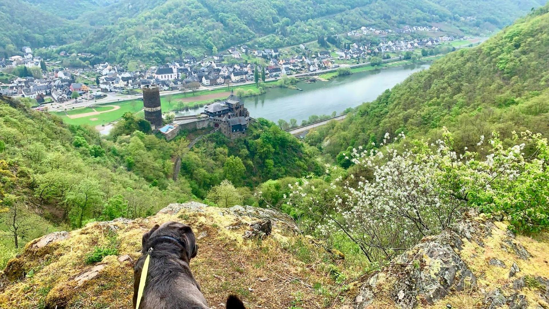 Chalet Lasserg Münstermaifeld Dış mekan fotoğraf